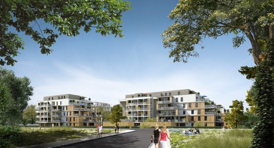 Perspective générale